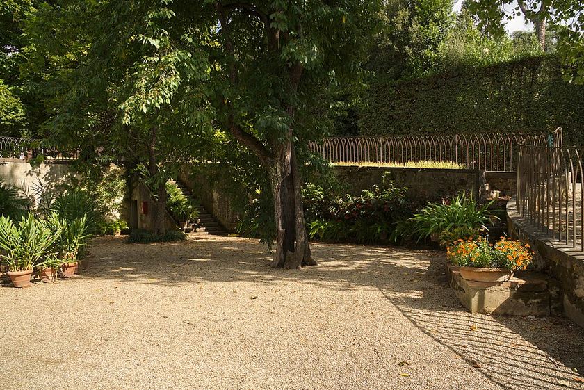 Boboli Gardens with cypress and lawns