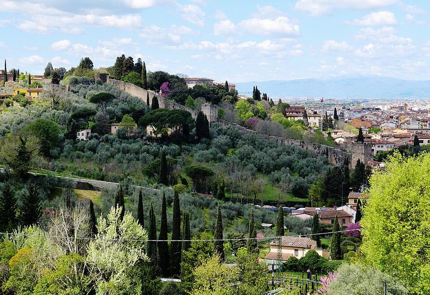 Florence skyline from the Rose Garden